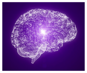Purple brain
